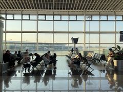 -青岛胶东国际机场