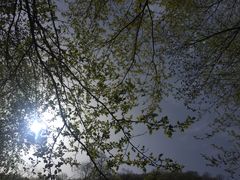 -青峰峡国家森林公园