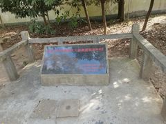 -上海佘山国家森林公园天马山园