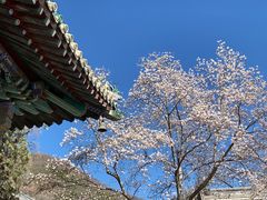 -潭柘寺景区