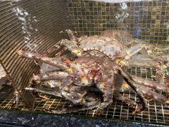 -海鲜e族(马王堆店)