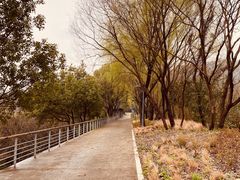 -西湖风景区-江洋畈生态公园