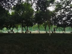 -塔子山公园
