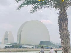 -野狸岛