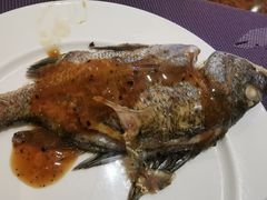 -罗约海滨温泉酒店-索莎西餐厅