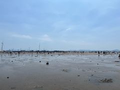 -仙人岛风景区