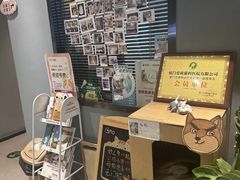 -御宝贝·A梦猫科宠物医院(国际猫友好医院)