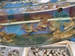 -渔中舟海鲜大排档(普陀沈家门店)