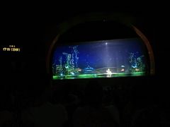 -中国马镇舞马世界主题乐园