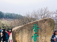 -香雪海