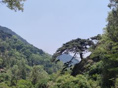 -泰山风景名胜区