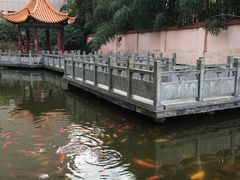 -金孔雀温泉旅游度假村