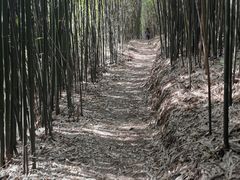 -井空里大峡谷