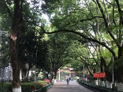 -杭州半山国家森林公园