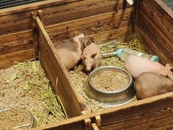 -酷嗒动物文化乐园(cutezoo西溪乐天城店)