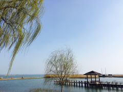 -苏州太湖湖滨国家湿地公园
