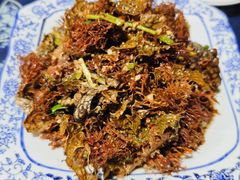 -老宅子私房菜馆(大理古城店)