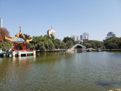 -金砂公园