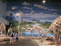 -自贡恐龙博物馆