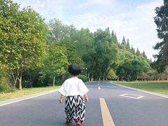 -采石矶景区