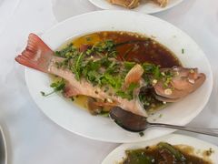 -新陶陶酒家