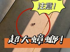 -走街串巷(丰富路店)