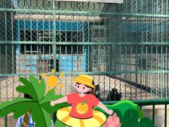 -秦皇岛野生动物园