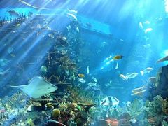 -西雅图水族馆