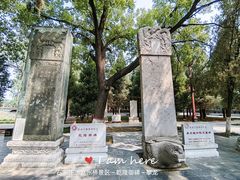 -柏林禅寺