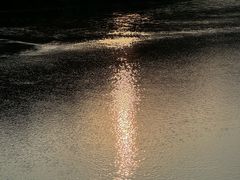 -后柳水乡