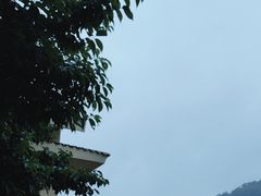 -南京老山国家森林公园
