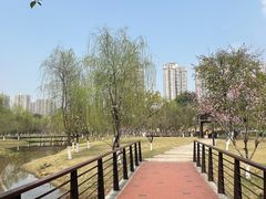 -沐仙湖湿地公园