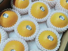 -杰记水果(桃源店)