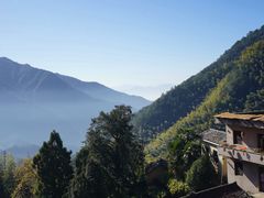 -云阿蛮云南生烫牛肉米线(奉贤路店)