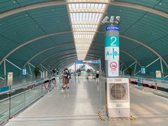 -龙阳路磁悬浮列车总站-停车场