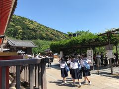 -有栖山 清光院 清水寺
