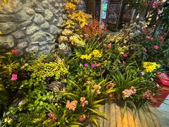 -尽善百年古院餐厅(王家老宅店)