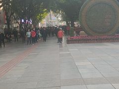 -鸿顺老铁锅美蛙鱼府(解放碑店)