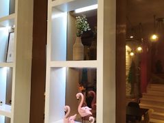 -猫爷宠物生活馆·撸猫馆