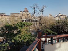 -莲花池公园