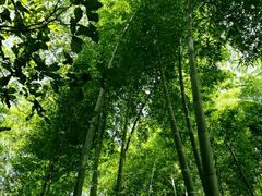 -神农溪纤夫文化旅游区