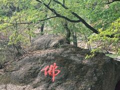 -潭柘寺景区
