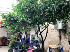 -李东农庄(中南百草园地标店)