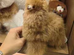 -茑屋书店(天目里店)