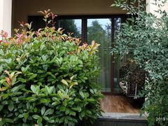 -上海崇明金茂凯悦酒店