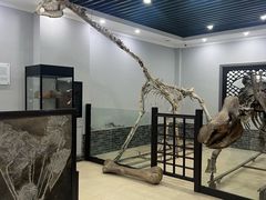 -游龙石文化科普馆