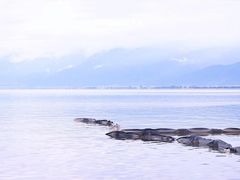 -南诏风情岛