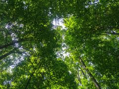 -桤木河湿地公园