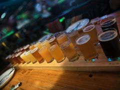 -Famous肥猫墨西哥音乐餐吧(五棵松华熙LIVE店)