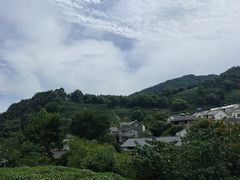 -龙井村